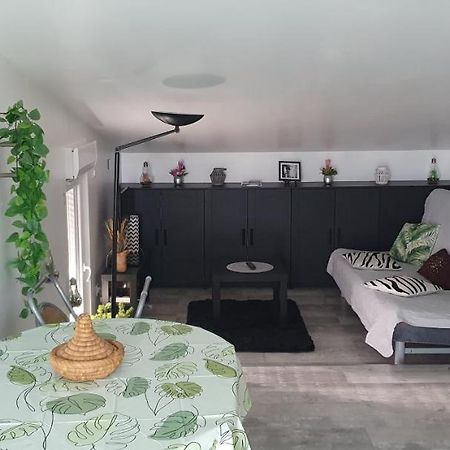 Appartement Cocooning Auterive Auterive (Haute-Garonne) Exterior foto