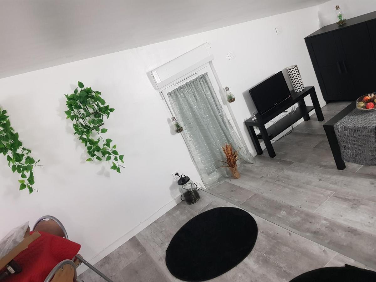 Appartement Cocooning Auterive Auterive (Haute-Garonne) Exterior foto